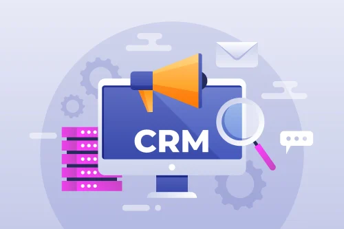 CRM Software Development